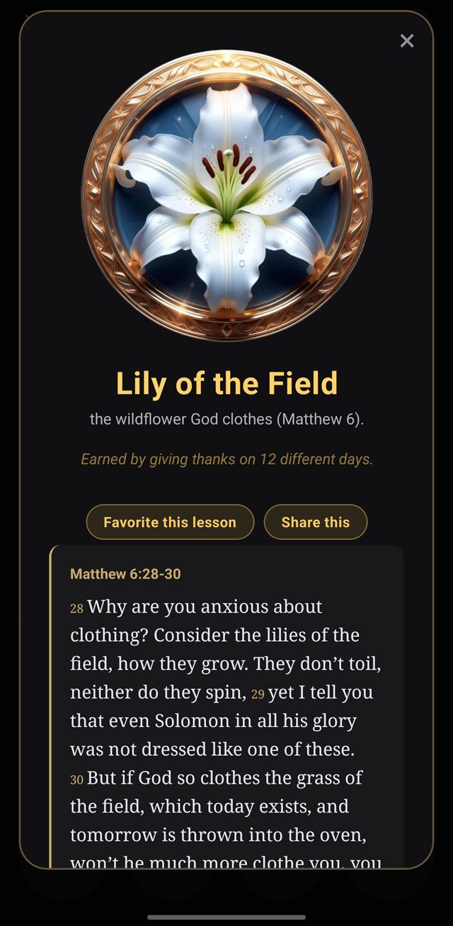 The Lily of the Field lesson, an illustrated lily medallion shown above Matthew 6 verses 28 to 30.